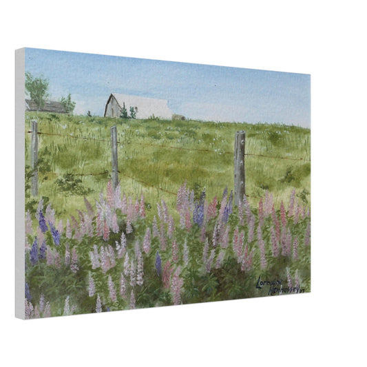 8fe14995-cf17-4258-a7ff-fbab5b27fe29