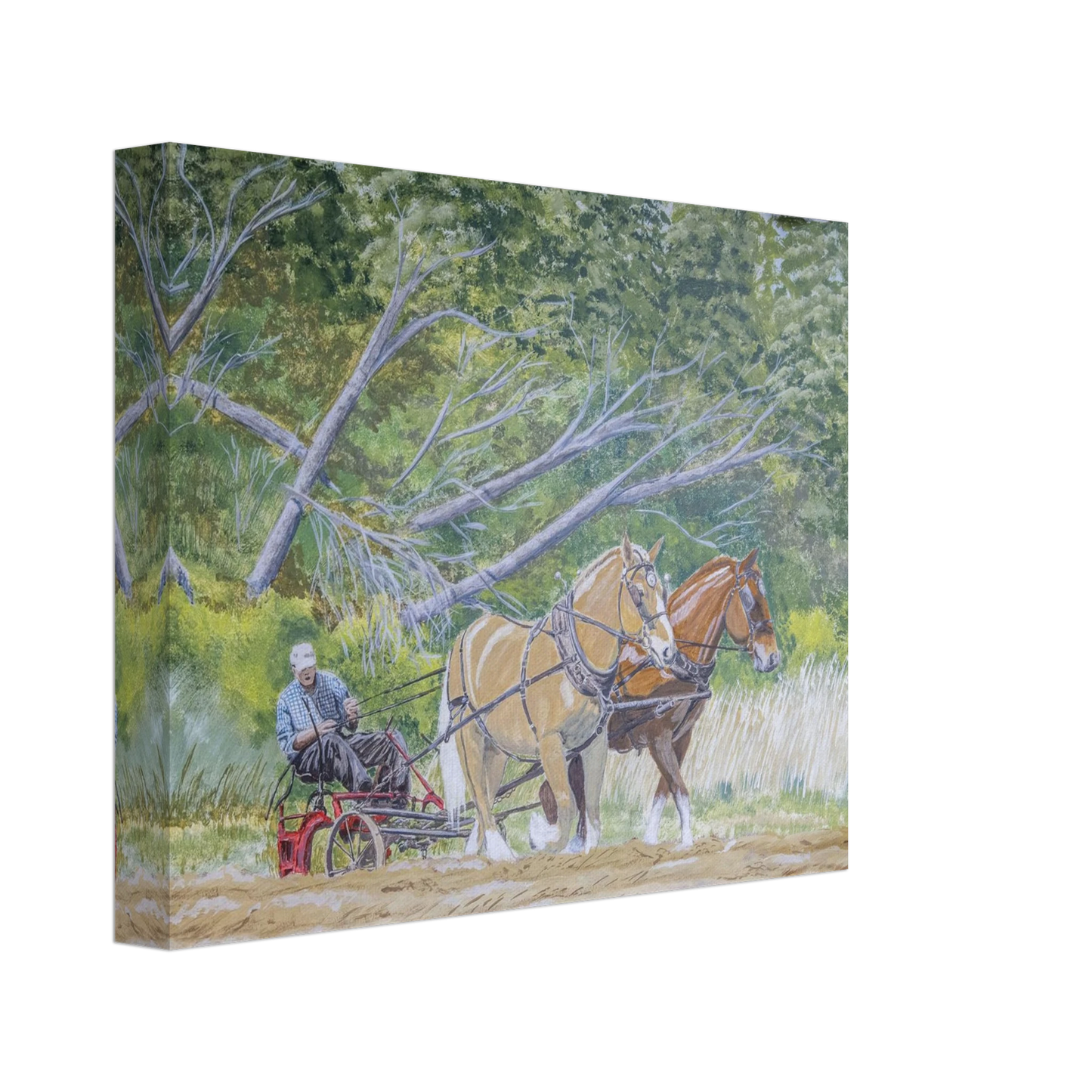 3890ce4a-63cd-4215-baa6-ddb16281e1f9