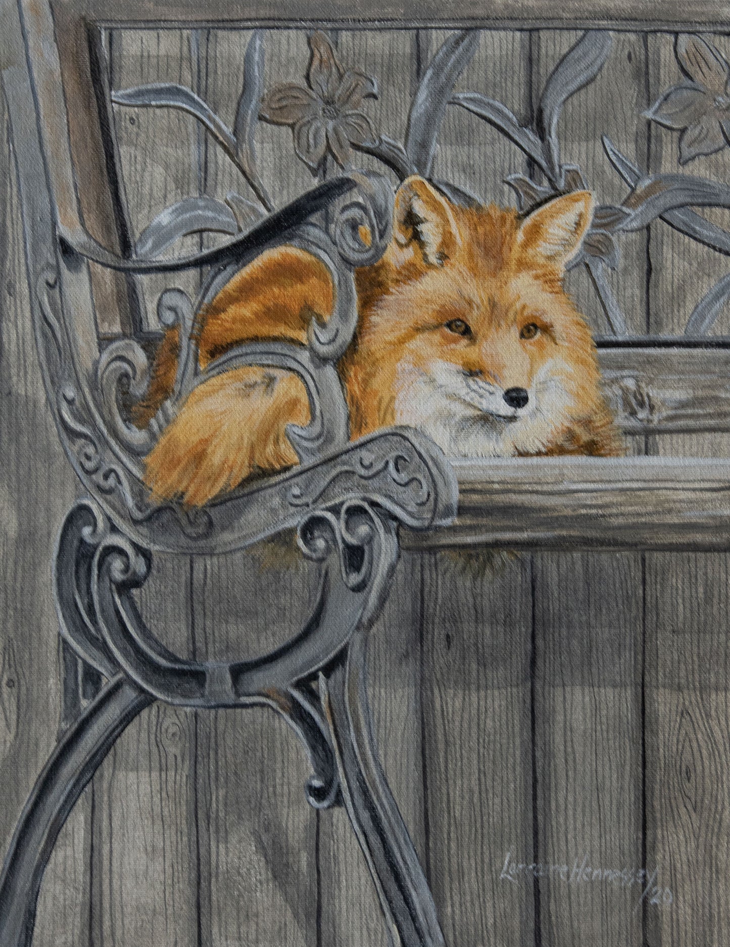 Island Fox: Canvas Print