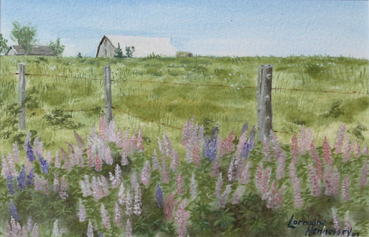 On the Seven Mile Road