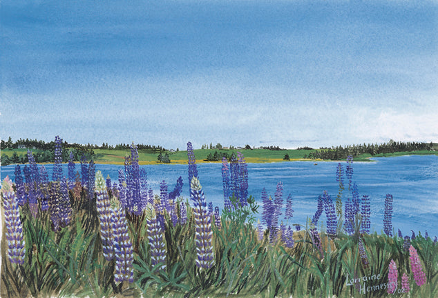 Lupins at Basin Head: Canvas Print